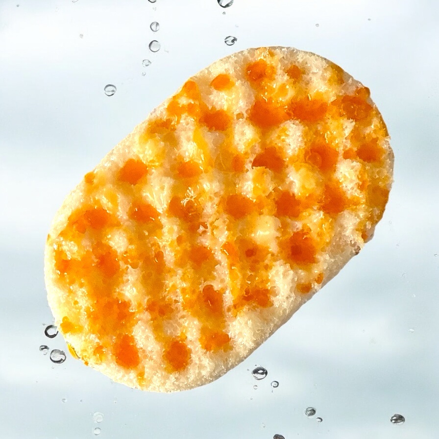 soapy dove soap sponge