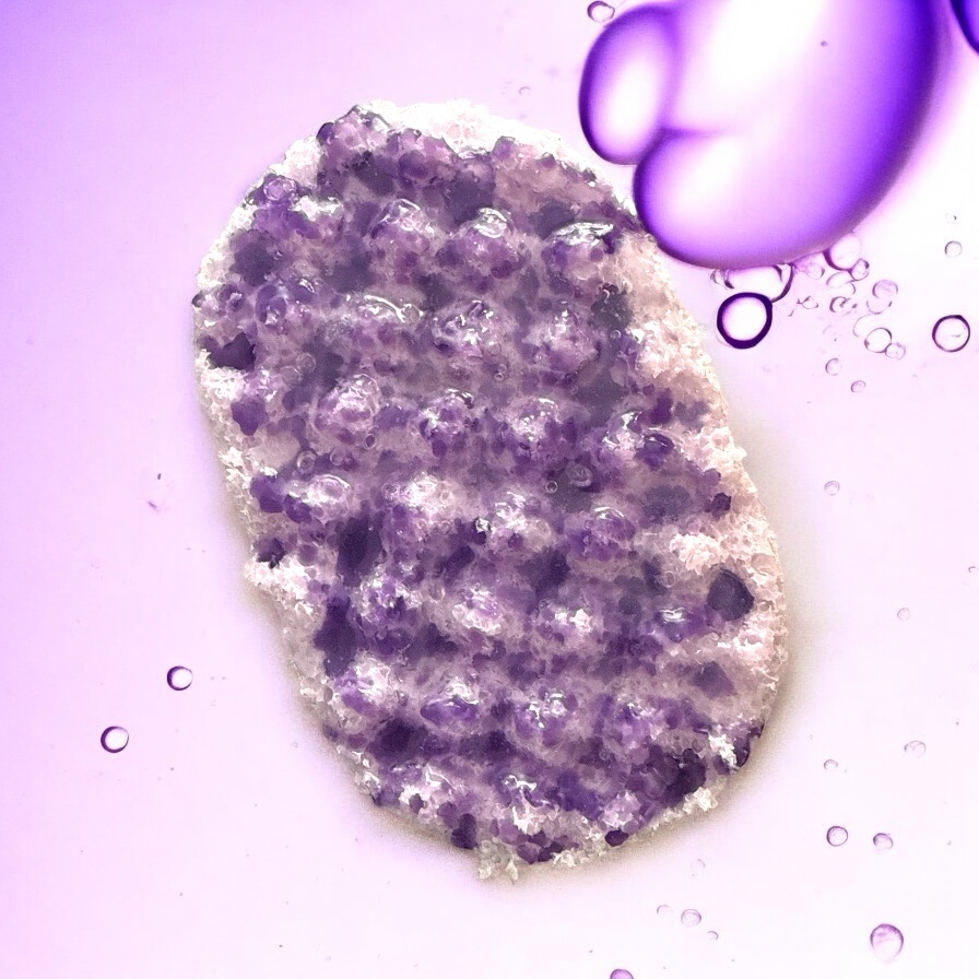 where dreams come true soap sponge